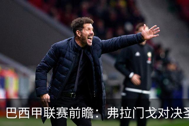 巴西甲联赛前瞻：弗拉门戈对决圣保罗，豪门对抗于马拉卡纳球场呈现
