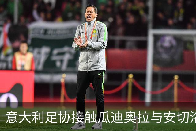 意大利足协接触瓜迪奥拉与安切洛蒂 马尔蒂尼确认选帅进展